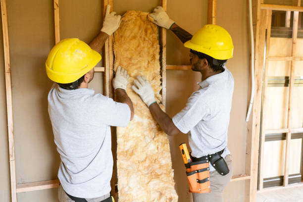 Best Spray Foam Insulation  in Selmer, TN